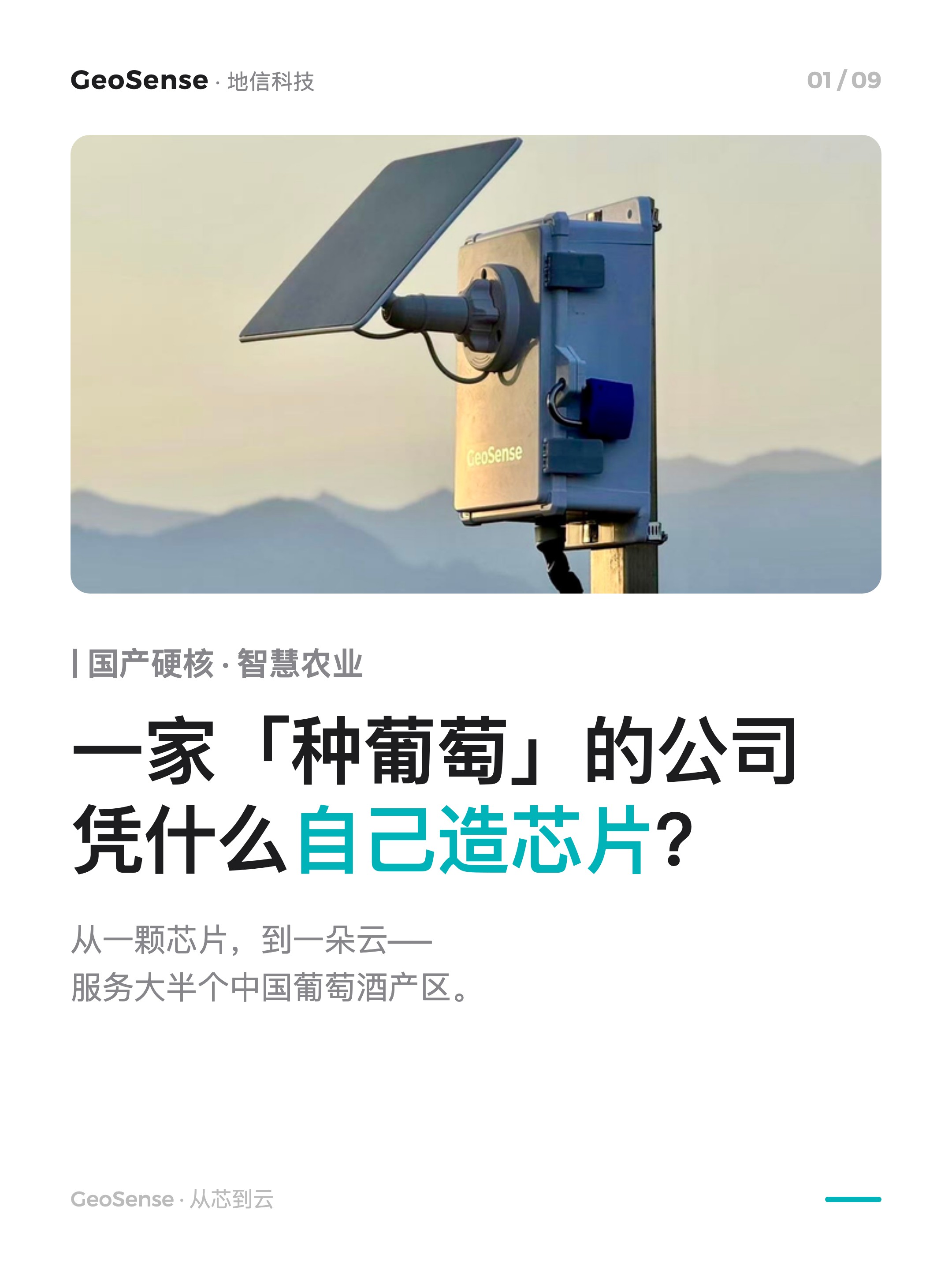 一家「种葡萄」的公司，凭什么自己造芯片？