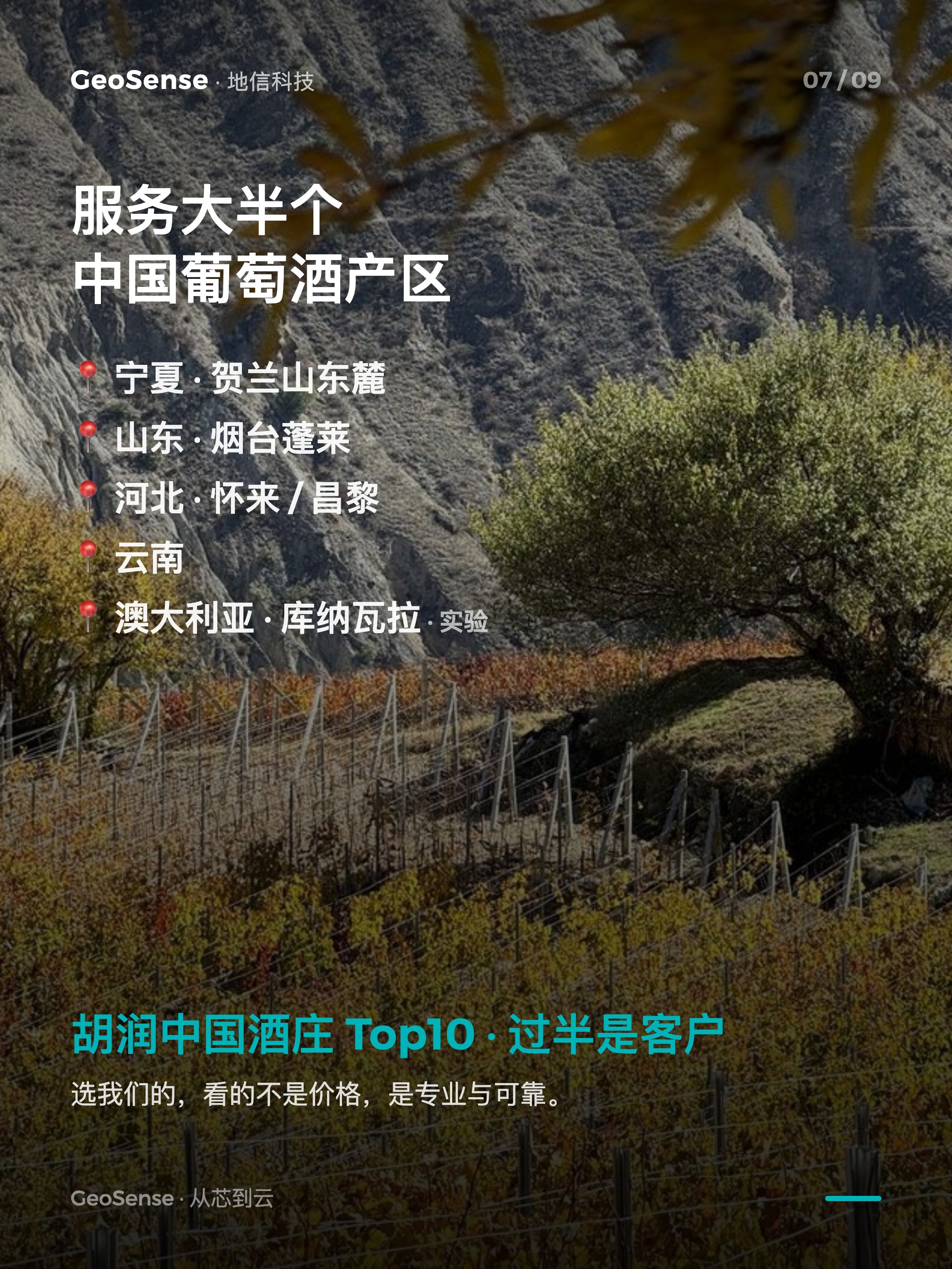 一家「种葡萄」的公司，凭什么自己造芯片？ 7/9