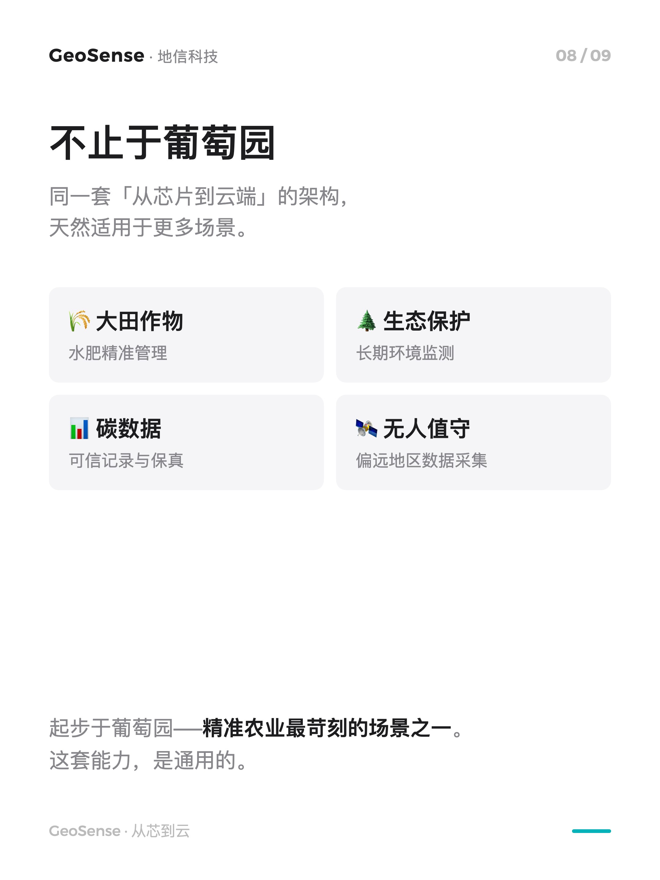 一家「种葡萄」的公司，凭什么自己造芯片？ 8/9