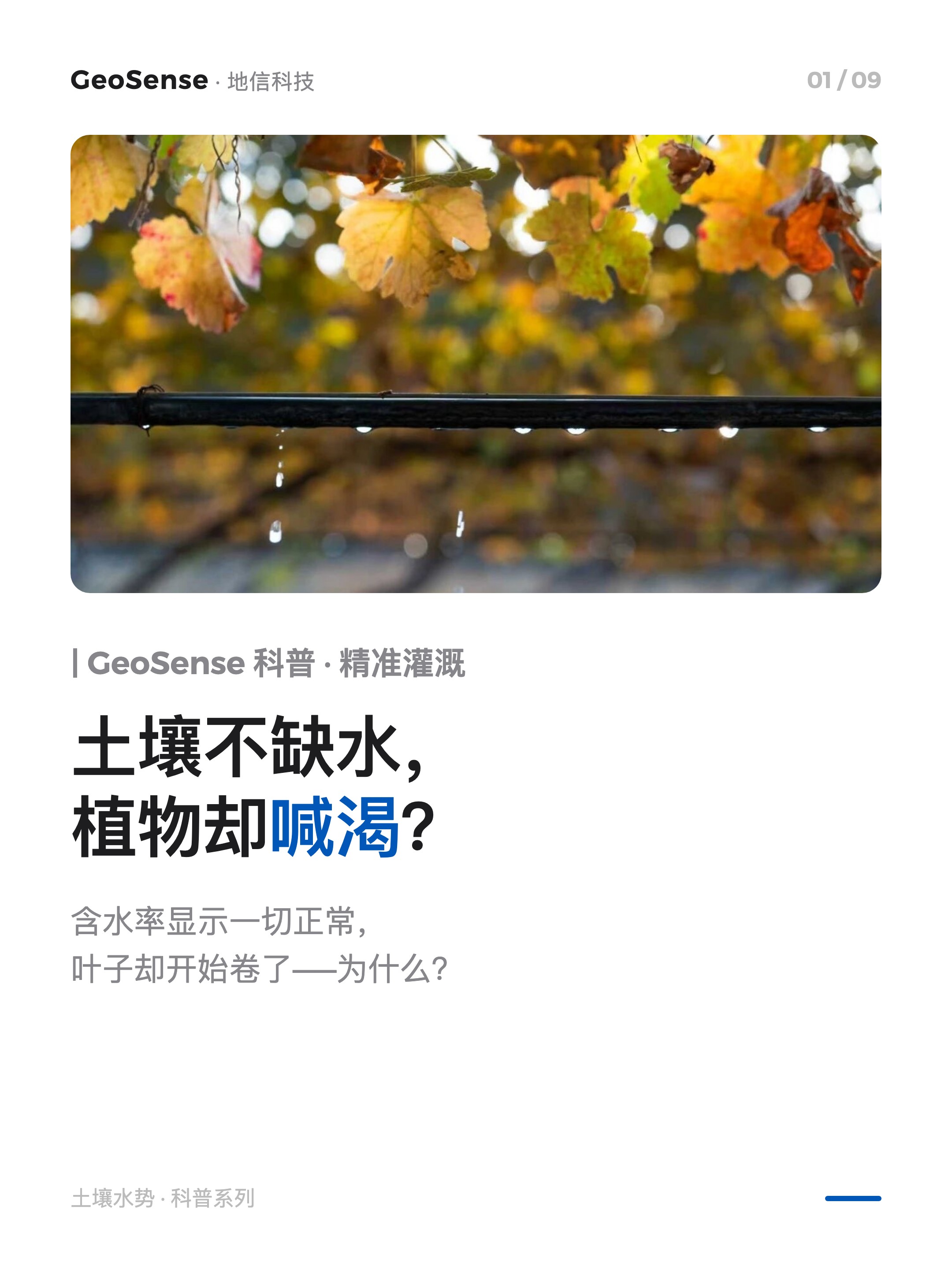 土壤不缺水，植物却喊渴？