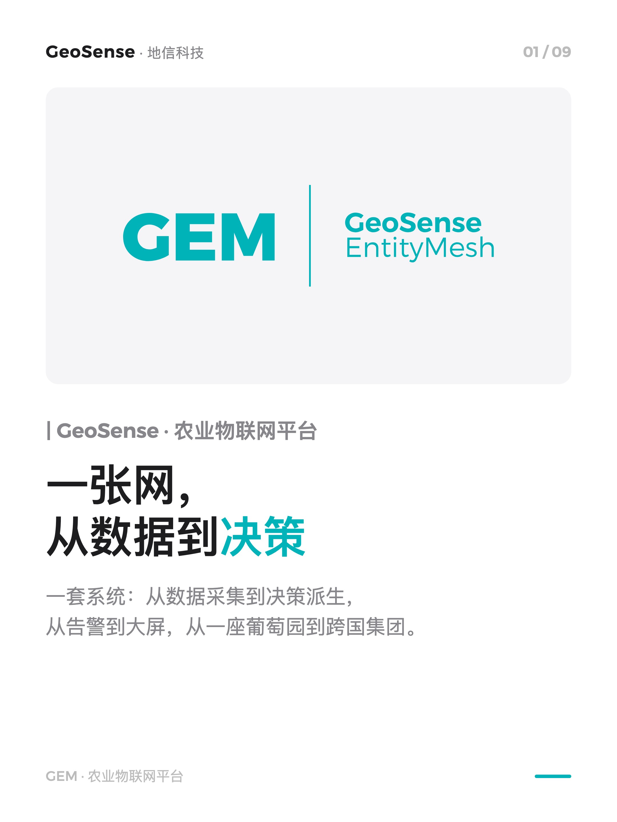 一张网，从数据到决策